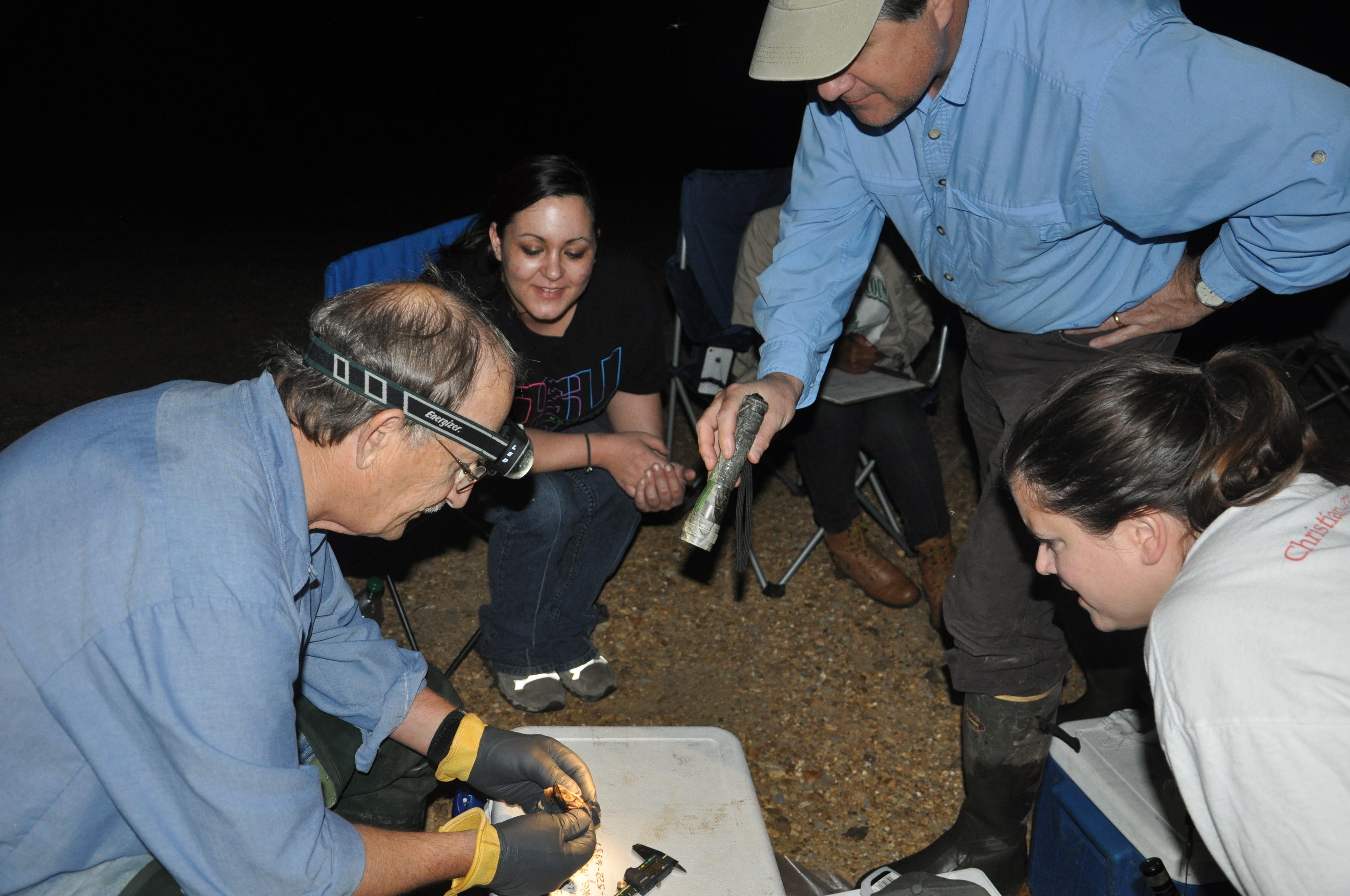 Chester Martin conducts a bat identification workshop at Dahomey National Wildlife Refuge.